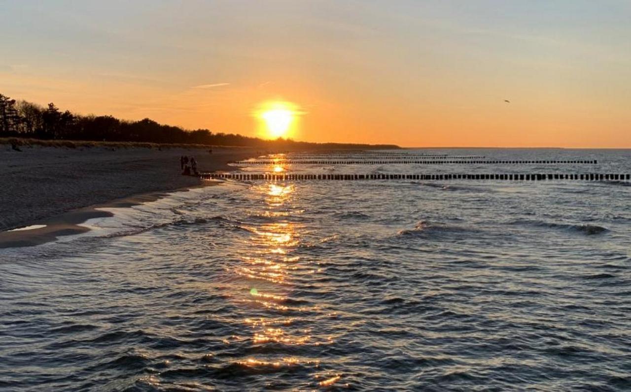 Parkresidenz Am Hafen Wohnung Hf 11 - Meerzeit Zingst Bagian luar foto